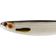 Westin ShadTeez Slim 14cm Lively Roach 2-pack