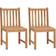 vidaXL 315611 2-pack Garden Dining Chair