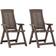 vidaXL 315832 2-pack Positionsstol, Havestol