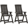 vidaXL 315832 2-pack Positionsstol, Havestol