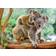 Ravensburger Koala Love XXL 200 Pieces