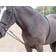 Shires Soft Lunging Aid