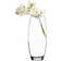 Pasabahce S3607295 Vase 26cm