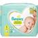 Pampers Premium Protection Size 1