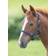 Shires Foal Headcollar