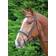 Shires Aviemore Mexican Bridle