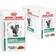 Royal Canin Diabetic Pouch