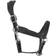 Collegiate Comfitec Leather Headcollar