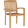 vidaXL 49387 2-pack Garden Dining Chair