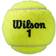 Wilson Roland Garros All Court - 8 Balles