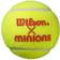 Wilson Minions Stage 2 - 3 bolde