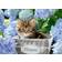 Ravensburger Kitten Among the Flowers 300 Pieces