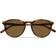 Polo Ralph Lauren Hombre Sunglass PH4110 - Habana