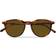 Polo Ralph Lauren Hombre Sunglass PH4110 - Habana