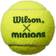 Wilson Minions Stage 1 - 3 bolde