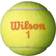 Wilson Starter Orange - 1 bold