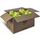 Wilson Tennis balls Triniti 72 pcs - 72pcs