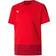 Puma teamGOAL 23 Training Jersey Kids - Puma Red/Chili Pepper