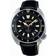 Seiko Prospex Land Tortoise Automatic Diver's SRPG17 SRPG17K1 SRPG17K 200M Watch