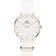 Daniel Wellington Petite Dover (DW00100311)