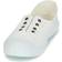 Victoria Inglesa Elastico W - White