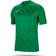 Nike Challenge III Dri-FIT Short Sleeve Jersey Kids - Pine Green/White