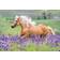 Ravensburger Horse Friends 2x24 Pieces