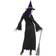 Widmann Amazing Witch