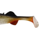 Westin Stanley the Stickleback Shadtail 5.5cm Lively Roach 6pcs