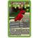 Top Trumps The Independent & Unofficial Guide to Minecraft