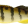 Westin Leurre Souple Zander Teez Shadtail Coloris Volga Zander, Long. 8,5cm