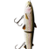 Westin HypoTeez Glidebait Suspending 18cm Rainbow Trout