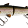 Westin HypoTeez Glidebait 14 cm Rainbow Trout