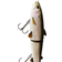 Westin HypoTeez Glidebait 14 cm Rainbow Trout