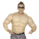 Widmann Muscular Upper Body