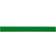 Faber-Castell Polychromos Pastel Permanent Green