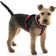 Halti Comfy Dog Harness XS