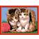 Ravensburger Painting by Numbers Kittens in a Basket