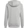 Adidas Graphic Print Hoodie - Mgh Solid Gray (GN2177)