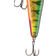 Daiwa Prorex Lazy Jerk SS 15.5cm 85g Ghost Gold Perch