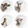 Wrendale Designs Countryside Animals Assiett 16.5cm 4st
