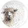 Wrendale Designs Countryside Animals Assiett 16.5cm 4st