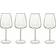Luigi Bormioli Talismano Red Wine Glass, White Wine Glass 70cl 4pcs