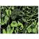 Mudpuppy Frogs & Lizards Glow in the Dark Puzzle 100 Pieces