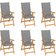 vidaXL 3065564 6-pack Havestol