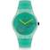 Swatch Nature Blur (SUOG119)