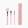 Sigma Beauty Essential Trio Brush Set