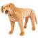 vidaXL Labrador Dog XXL