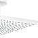 Hansgrohe Raindance E (26250700) Hvid