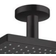 Hansgrohe Raindance E (26250670) Chrome, Black